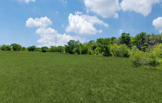 a field of green grass with trees and a blue sky with clouds