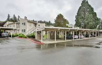 Large condo w/ sauna