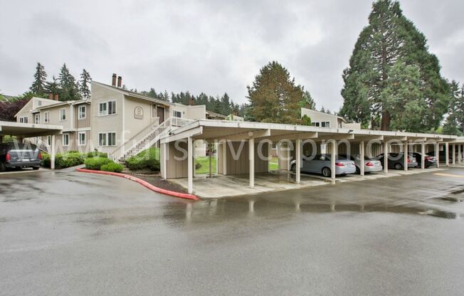 Large condo w/ sauna