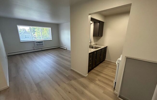 1 bed, 1 bath, $995, Unit 335