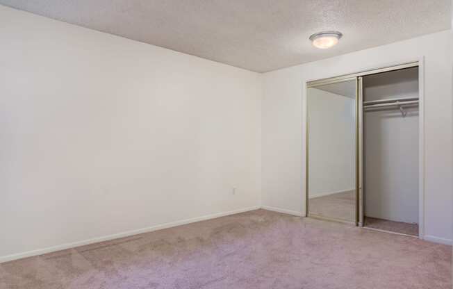 an empty living room with a mirrored closet door