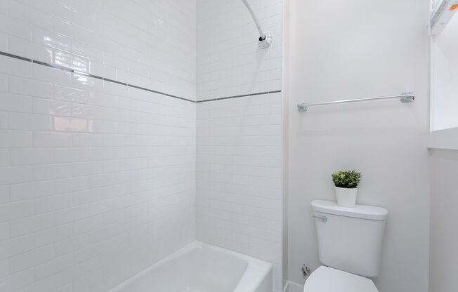Studio, 1 bath, 295 sqft, $1,950, Unit 212