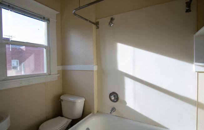 Studio, 1 bath, 400 sqft, $1,185, Unit 203