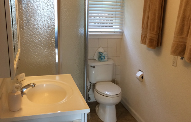 Studio, 1 bath, $2,395, Unit 8