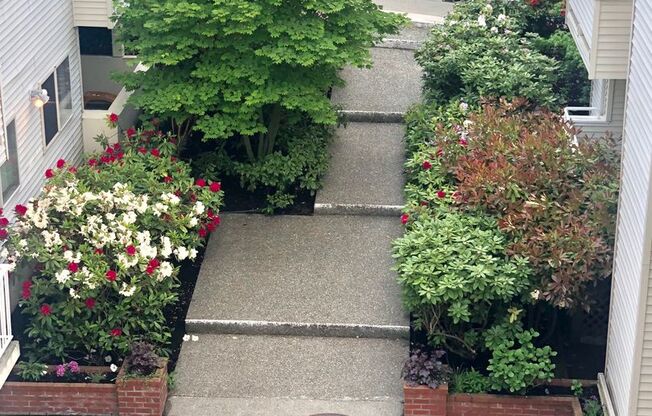 1 bed, 1 bath, 660 sqft, $1,695, Unit 410B