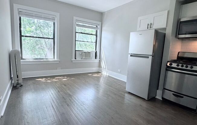 916 W Diversey