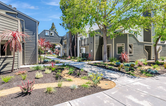A residential area with houses and a well-maintained garden.