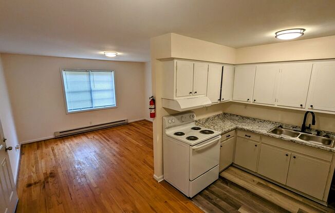 1 bed, 1 bath, $1,125