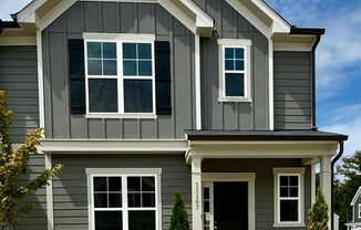 Brand New Townhome in Pringle Town