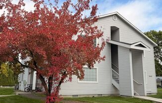 Quiet Country Living