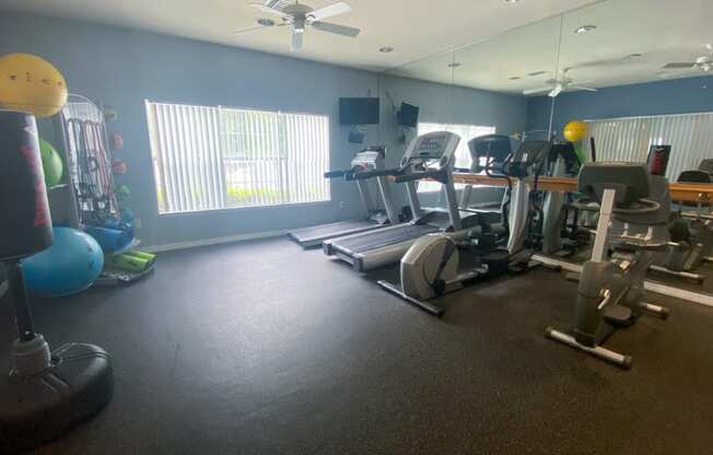 Fitness center with cardio equipment, resistant band training equipment, punching bag, large window for natural lighting, and multi speed ceiling fan