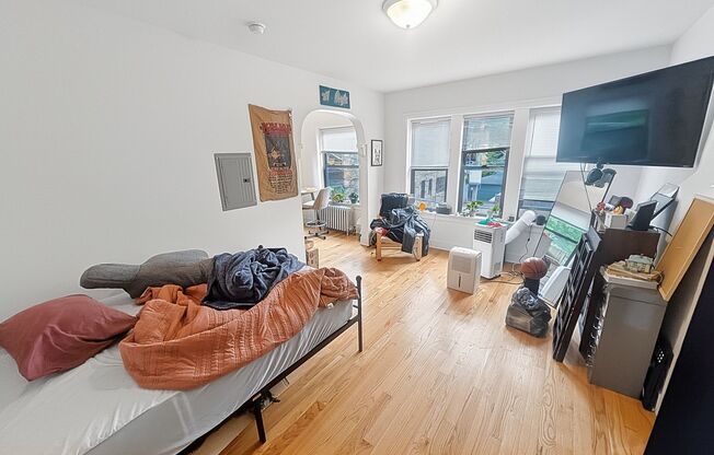 Studio, 1 bath, 450 sqft, $1,495, Unit 207