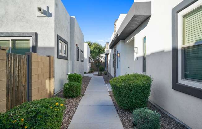 a walkway between two buildings with hedges and a wooden fence