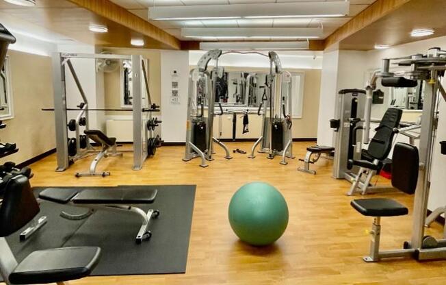 Studio, 1 bath, 521 sqft, $3,950, Unit 1203