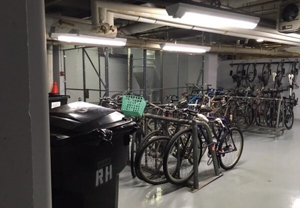 Studio, 1 bath, 465 sqft, $2,450, Unit 113