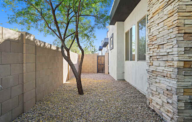 a courtyard with a tree and a stone wall