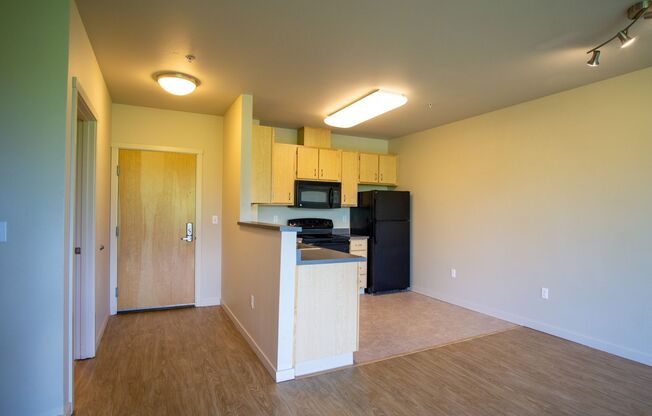 2 WEEKS FREE! Spacious Urban 1 Bed Flat - North Portland Near N. Mississippi & Alberta!