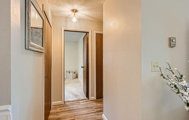 2 beds, 1 bath, $995