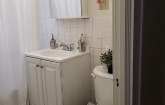 1 bed, 1 bath, 550 sqft, $1,069, Unit 2809-303