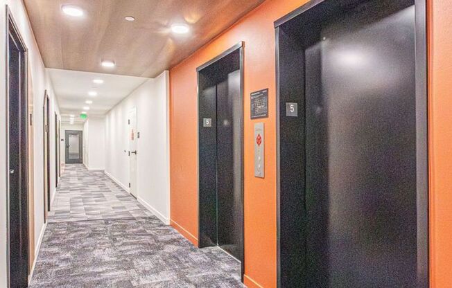 Studio, 1 bath, 314 sqft, $1,245, Unit 411