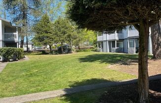 Waterfall Apartments
