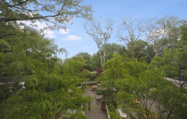 1 bed, 1 bath, $5,416, Unit 226