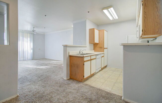 1 bed, 1 bath, 745 sqft, $1,300, Unit 2072