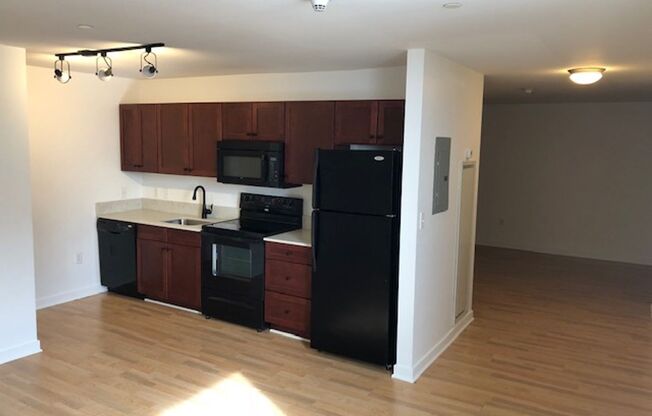 Studio, 1 bath, 500 sqft, $1,499, Unit 201