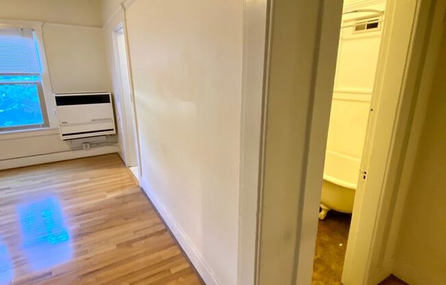 1 bed, 1 bath, 505 sqft, $1,495, Unit 19