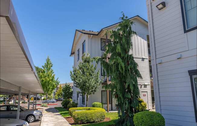 A tree in a front yard of a house at Riverplace Apartment Homes, Independence