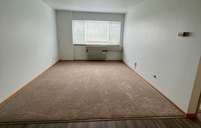 1 bed, 1 bath, 500 sqft, $899