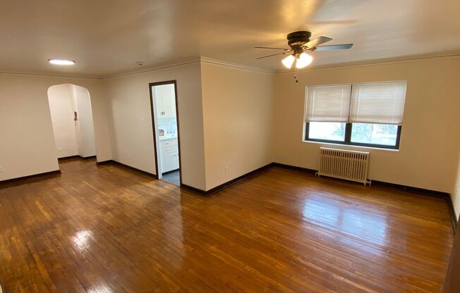 208 N. Homewood Ave - Park Manor