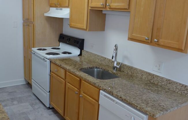 1 bed, 1 bath, 700 sqft, $1,795, Unit 503
