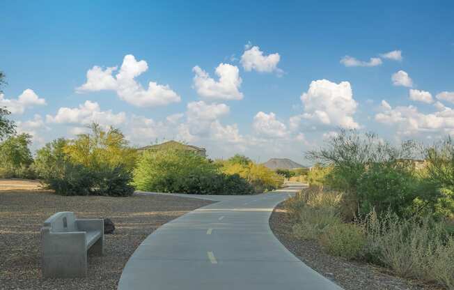 a path through the desert with trees and a bench