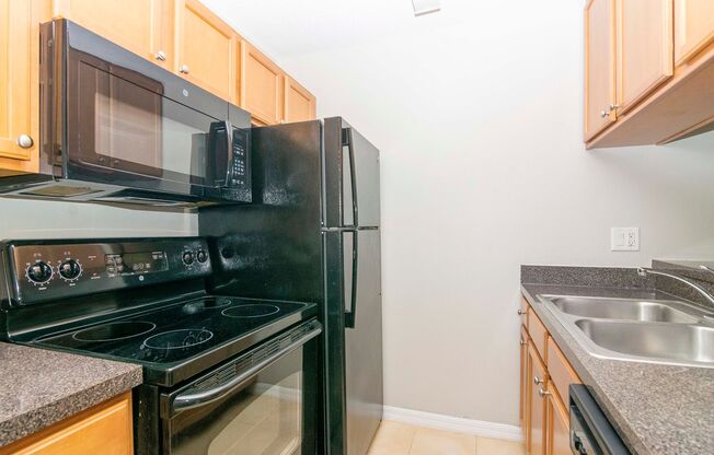 1 bed, 1 bath, $1,375