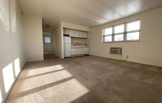 1 bed, 1 bath, $705, Unit B09