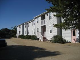 2 beds, 1 bath, $1,200, Unit 11