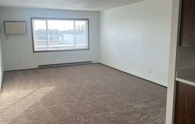 1 bed, 1 bath, $695, Unit 304