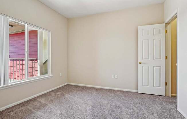 A room with a carpeted floor, a white door, and a window with pink blinds.
