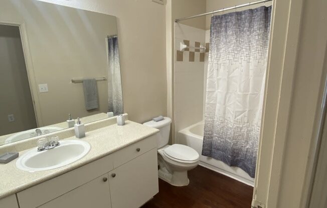 a bathroom with a sink and a toilet and a shower