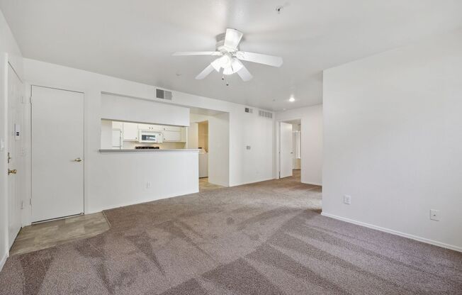 1 bed, 1 bath, 752 sqft, $1,725, Unit 917