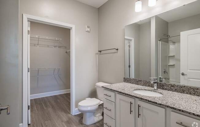 a bathroom with a shower toilet and sink and a mirror