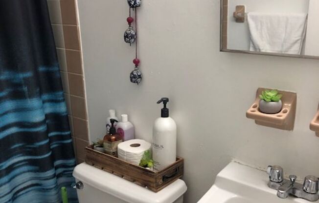 Studio, 1 bath, $1,099, Unit B03