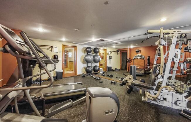 Studio, 1 bath, $1,540