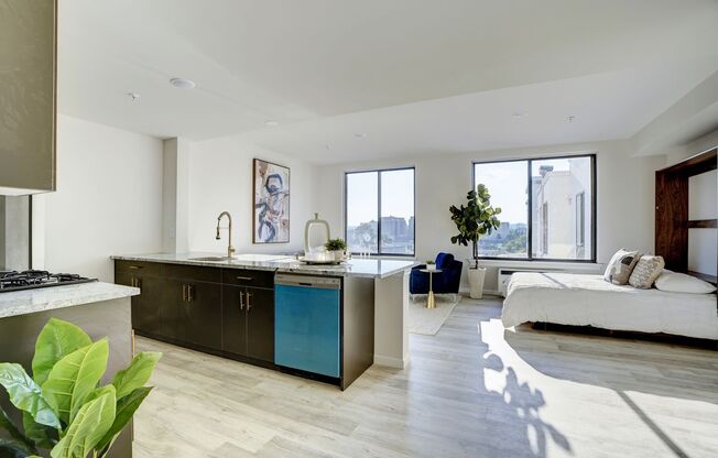 Studio, 1 bath, 710 sqft, $1,810.42, Unit 214