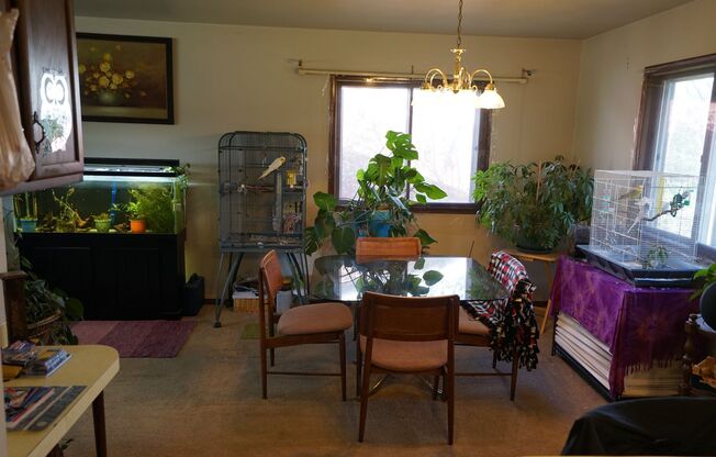 2 beds, 1 bath, $1,525