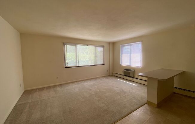 1 bed, 1 bath, 550 sqft, $1,275, Unit 204