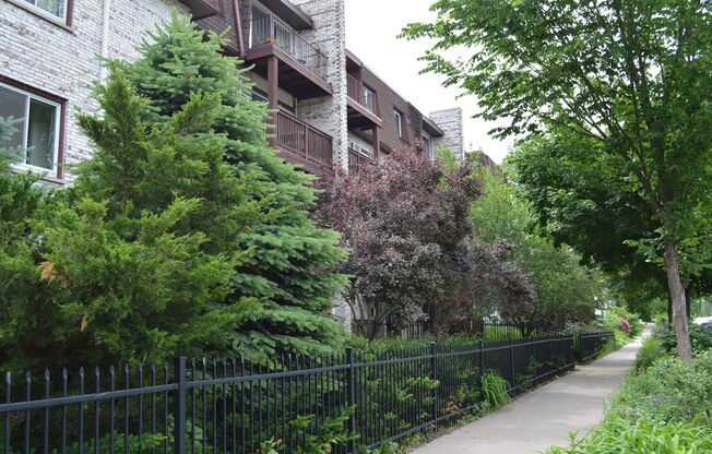 1 bed, 1 bath, 550 sqft, $1,150, Unit 206