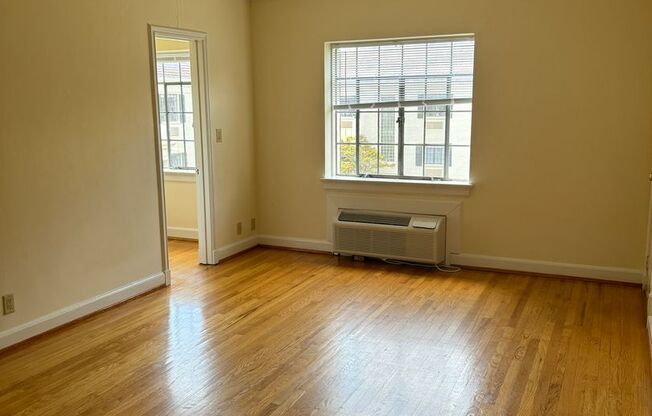 Studio, 1 bath, 380 sqft, $1,100, Unit Unit B6