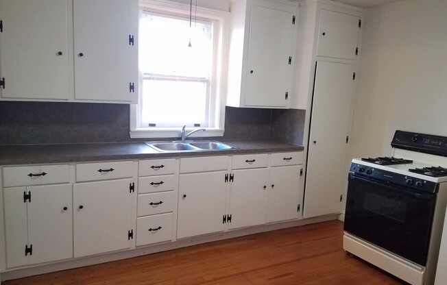 1 bed, 1 bath, $1,025, Unit Apt. #8